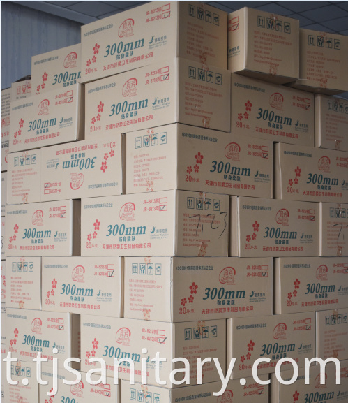 carton pack sanitary napkins